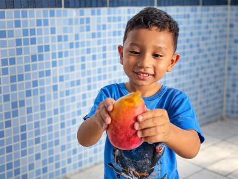 Alimentação saudável